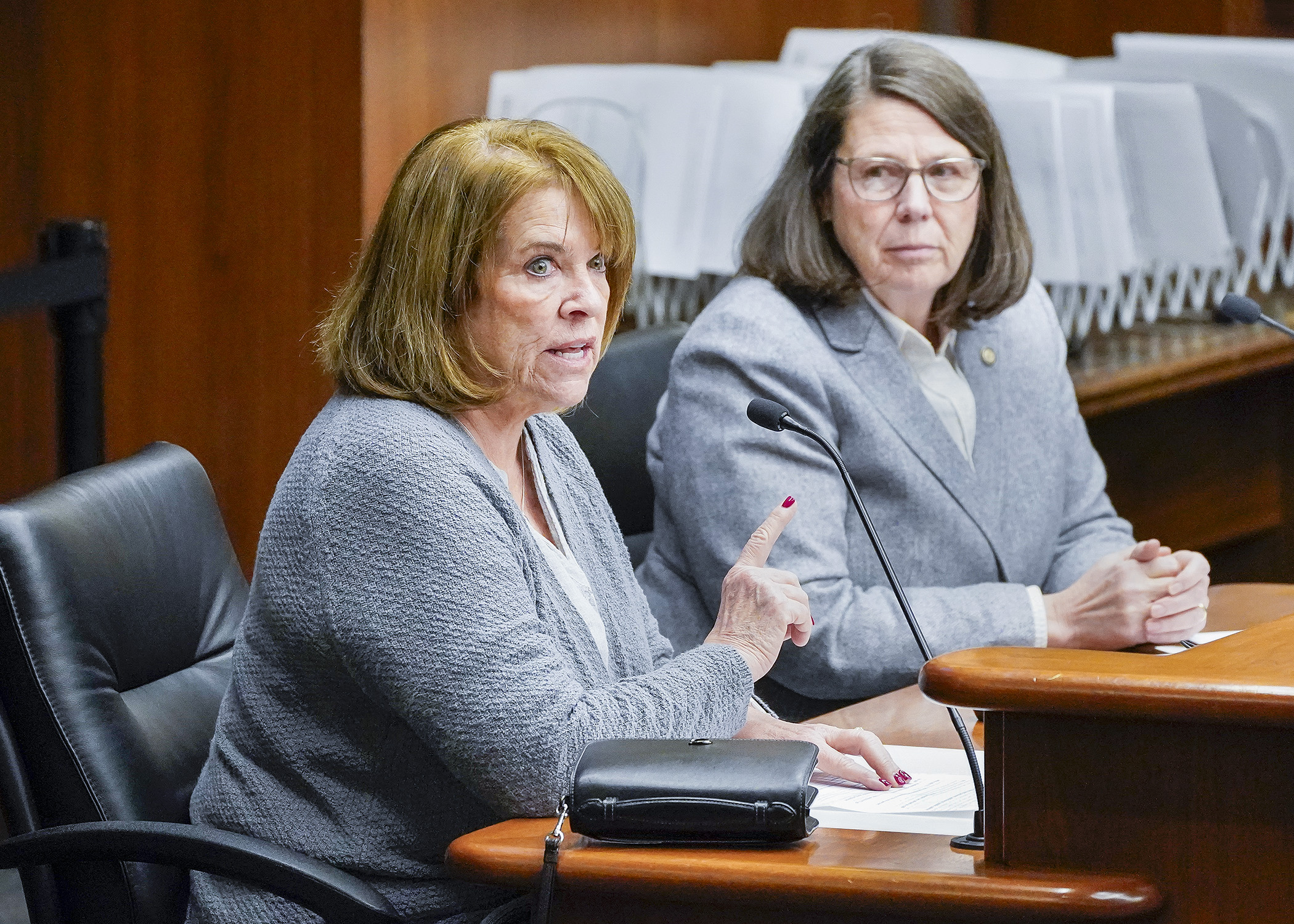Colleen Ronnei, executive director of Change the Outcome, testifies Thursday before the House public safety committee in support of HF3812, sponsored by Rep. Patty Acomb, right. (Photo by Andrew VonBank)
